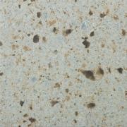 &ɥ  300ʿ :4(ë) (68286NTU)