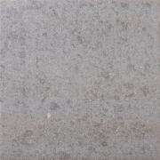 ��&�ɥ����� �� 300��ʿ ��:6(��������) (68288NTU)