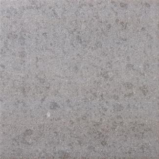 �֥��ɥ�����:��&�ɥ����� �� 300��ʿ ��:6(��������)(68288NTU)