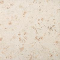 ��&�ɥ����� �� 300��ʿ ��:7(ΰ���г���) (68289NTU)