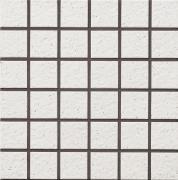 �ɥ����� �إ��� 50��ʿ��ĥ�� ��:81 (68583NTU)