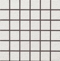 �ɥ����� �إ��� 50��ʿ��ĥ�� ��:81 (68583NTU)