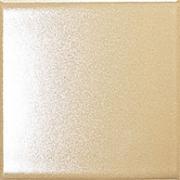 �ɥ����� �ѥꥫ�饹���� 50��ʿ��ĥ�� ��:22AL (68730NTU)