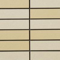 �ɥ����� ���塼�� 50����ʿ��ĥ�� ��:63AB (68831NTU)