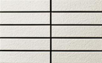 �֥��ɥ�����:�ɥ����� �եߥ� 50����ʿ��ĥ�� ��:81(68879NTU)