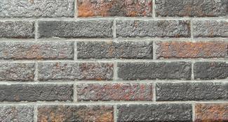 �֥��ɥ�����:�ɥ����� �饹�ƥ����ܡ����� 220��55mm�ܡ�����ʿ ��:SRB-203(69195SAN)