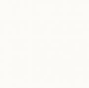 &ɥ ۥ磻 600ʿ(ޥå) :ԥ奢ۥ磻 ڼ͢ʡ (69880CPJ)