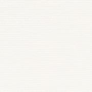 &ɥ ۥ磻 600ʿ(ȥ饯㡼) :ԥ奢ۥ磻 ڼ͢ʡ (69881CPJ)