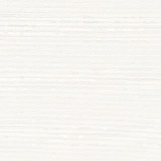 �֥��ɥ�����:��&�ɥ����� �ۥ磻�� 600��ʿ(���ȥ饯���㡼��) ��:�ԥ奢�ۥ磻�� �ڼ����б��ʡ�(69881CPJ)