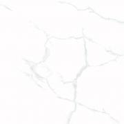 &ɥ 顼 600600ʿ(᤭) :ӥ (69899CPJ)