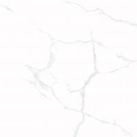 &ɥ 顼 600600ʿ(᤭) :ӥ (69899CPJ)