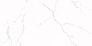 &ɥ 顼 1200600ʿ(᤭) :ӥ ڼ͢ʡ (69900CPJ)