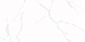 &ɥ 顼 1200600ʿ(᤭) :ӥ ڼ͢ʡ