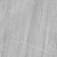 &ɥ եȥȡ 600ʿ(å) :ڥ ڼ͢ʡ (69945CPJ)