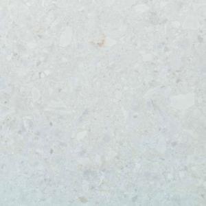 ��&�ɥ����� �˥塼�ϥХ� 600��ʿ(�ޥå���) ��:�饤�ȥ��졼