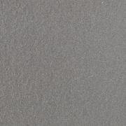 &ɥ ƥ 600ʿ(ȥ饯㡼) :졼 ڼ͢ʡ (69957CPJ)