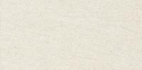 &ɥ  600300ʿ(å) :ۥ磻 ڼ͢ʡ (70016CPJ)