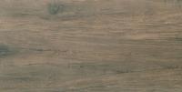 &ɥ ꥢ 1200600ʿ(å) : ڼʡ (70090CPJ)
