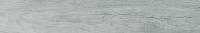 &ɥ ꥢ 1200200ʿ(å) :ꥸ ڼ͢ʡ (70092CPJ)