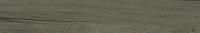&ɥ ꥢ 1200200ʿ(å) :ʥå ڼ͢ʡ (70093CPJ)