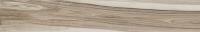 &ɥ ꥹ 1200200ʿ(ޥå) : ڼ͢ʡ (70120CPJ)