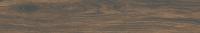 &ɥ Ρå 900150ʿ(ȥ饯㡼) :⥫ ڼ͢ʡ (70122CPJ)