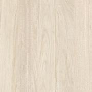 &ɥ 롼 600ʿ(ޥå) : (70136CPJ)