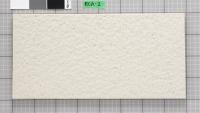&ɥ () 400200ʿ :RCA-2 (70213HMS)
