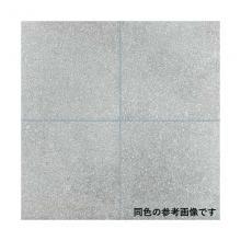 �ꥯ����(INAX) �������� �������� ����˥��� 600��300mm��ʿ(����������) IPF-630/GCL-11 (70305LIX)