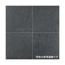 �ꥯ����(INAX) �������� �������� ����˥��� 600��300mm��ʿ(�⾲�����ɥ�����) IPF-630/GCL-22 (70318LIX)