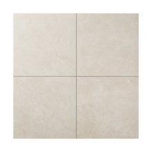 �ꥯ����(INAX) �������� ������С��� 600��ʿ(����������) IPF-600N/TMB-12 (70324LIX)