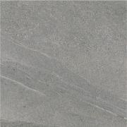 �������� ���������� 600��ʿ ��:�ߥǥ����॰�졼 (76186NGE)