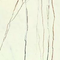&ɥ ꡼ 600ʿ :RAINFOREST (76203NGE)