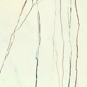 &ɥ ꡼ 600ʿ :RAINFOREST