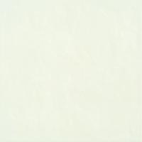 &ɥ ޥ 600ʿ :Plaster (76205NGE)