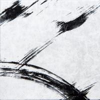 &ɥ 治 -- 300ʿ : (76240NGE)