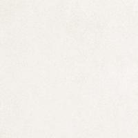 &ɥ ֥쥤꡼ 300ʿ : (76254NGE)