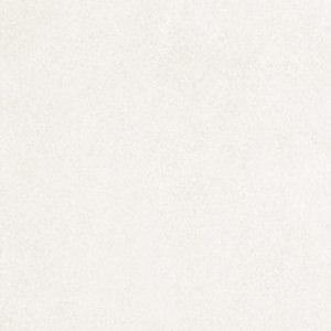 &ɥ ֥쥤꡼ 300ʿ :