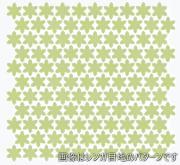 ⥶ ƥ ַŽ(̤) : ڼбʡ (76358NGE)