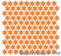 ⥶ ƥ ַŽ(̤) : ڼбʡ (76365NGE)