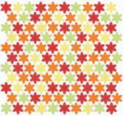 ⥶ ƥ ַŽ() : ڼбʡ (76369NGE)