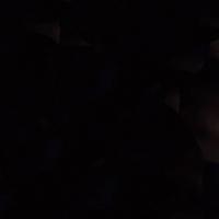 ɥ ߥͥ 100ʿ΢ͥå : (76463NGE)