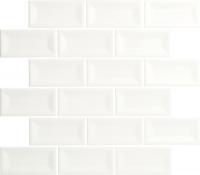 ɥ ƥ꡼ ƥ⥶ :ƥ⥶  (76484NGE)