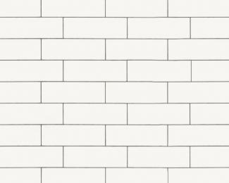 �֥��ɥ�����:�ɥ����� ��ƥ��꡼�� ��ƥ��졼�� ��:��ƥ��졼�� �ե�å���(76486NGE)