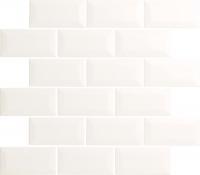 ɥ ƥ꡼ ƥ⥶ :ƥ⥶  (76487NGE)