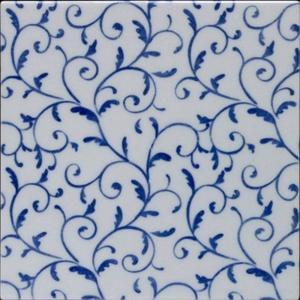 �ɥ����� ƫ��(����ǻ���꡼��) 150��ʿ ��:������ �ڼ����б��ʡ�