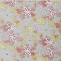 �ɥ����� ƫ��(����ǻ���꡼��) 150��ʿ ��:̴���� �ڼ����б��ʡ� (76607NGE)