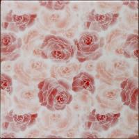 �ɥ����� ƫ��(����ǻ���꡼��) 150��ʿ ��:�������� �ڼ����б��ʡ� (76614NGE)