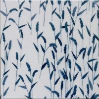 �ɥ����� ƫ��(����ǻ���꡼��) 150��ʿ ��:�Ĥޤ�� �ڼ����б��ʡ� (76617NGE)