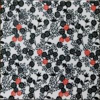 �ɥ����� ƫ��(����ǻ���꡼��) 150��ʿ ��:�������� �ڼ����б��ʡ� (76620NGE)